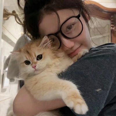燕尾蝶 在线观看